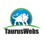 TaurusWebs México