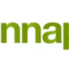 Sinnaps Diagrama de Gantt México
