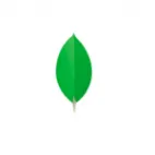 MongoDB México