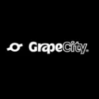 Grapecity Inc México
